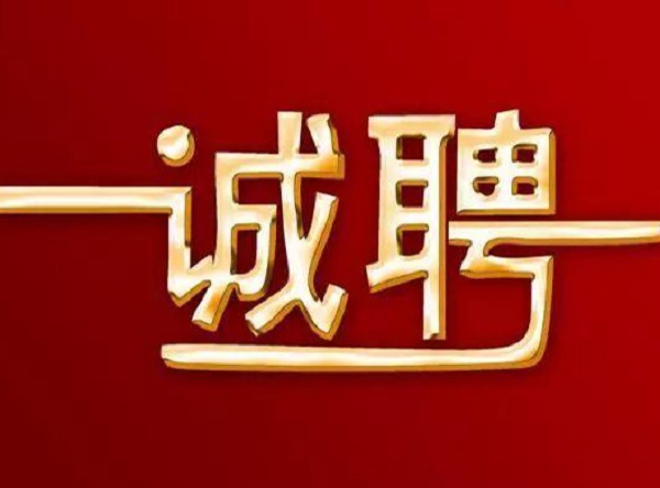 启动2025年度人才招聘工作的通知
